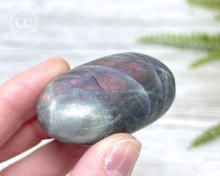 Labradorite Chunky Palm Stone #4