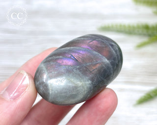 Labradorite Chunky Palm Stone #4