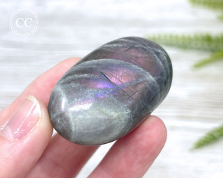 Labradorite Chunky Palm Stone #4