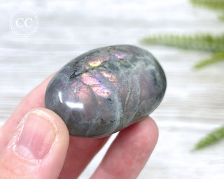 Labradorite Chunky Palm Stone #4