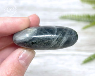 Labradorite Chunky Palm Stone #4