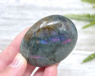 Labradorite Chunky Palm Stone #5