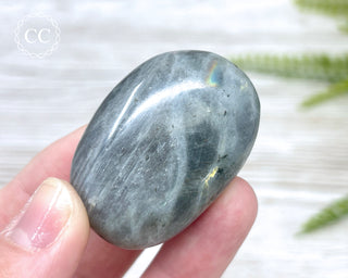 Labradorite Chunky Palm Stone #1