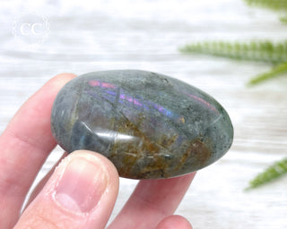 Labradorite Chunky Palm Stone #5