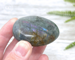 Labradorite Chunky Palm Stone #5