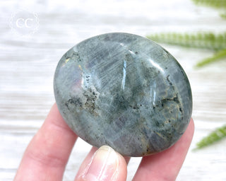 Labradorite Chunky Palm Stone #5