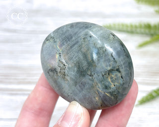 Labradorite Chunky Palm Stone #5