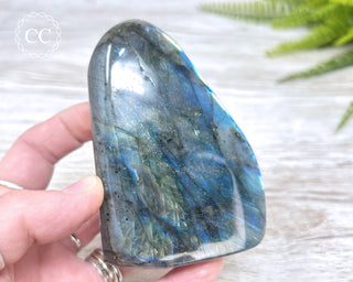 Labradorite Freeform #10