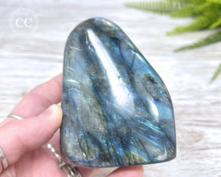 Labradorite Freeform #10