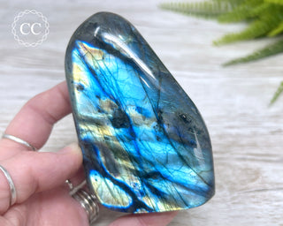 Labradorite Freeform #10