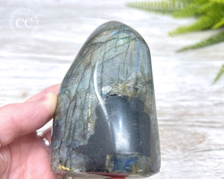 Labradorite Freeform #10