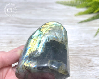 Labradorite Freeform #10