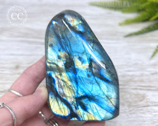 Labradorite Freeform #10