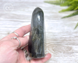 Labradorite Freeform #10