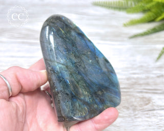 Labradorite Freeform #10