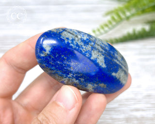 Lapis Lazuli Palm Stone #5