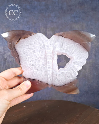 A hand holding a large Agate Butterfly
