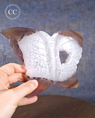 Large Agate Butterfly #3