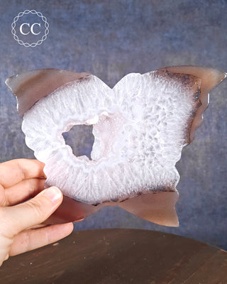 Large Agate Butterfly #3