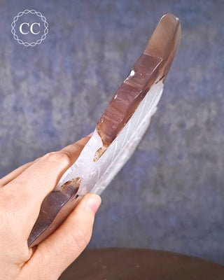 Large Agate Butterfly #3