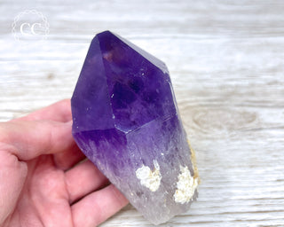 Large Amethyst Crystal #4