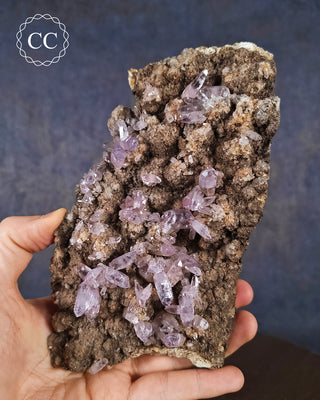 A hand holding a large Vera Cruz Amethyst Cluster from Vera Cruz in Mexico