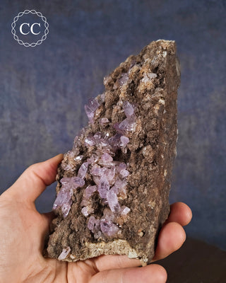Large Vera Cruz Amethyst Cluster #2