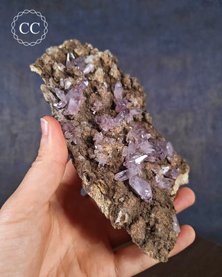 Large Vera Cruz Amethyst Cluster #2