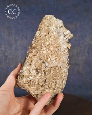 Large Vera Cruz Amethyst Cluster #2
