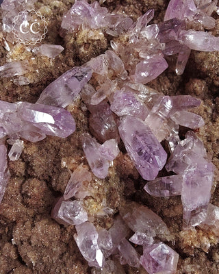 Large Vera Cruz Amethyst Cluster #2