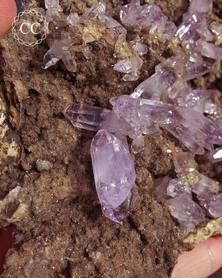 Large Vera Cruz Amethyst Cluster #2