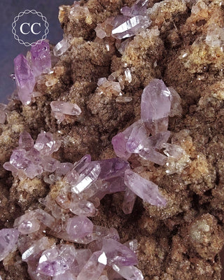 Large Vera Cruz Amethyst Cluster #2