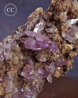 Large Vera Cruz Amethyst Cluster #2