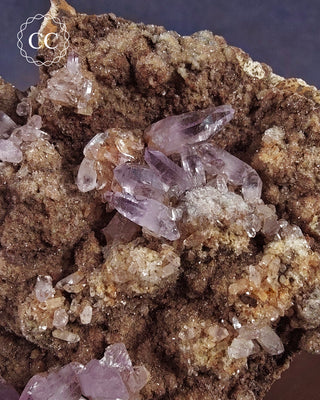 Large Vera Cruz Amethyst Cluster #2