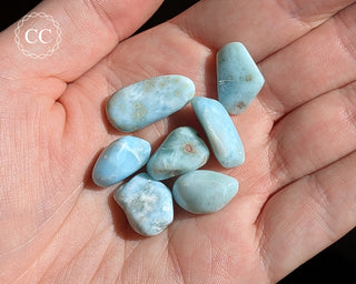 Larimar Small Tumbled Crystals in hand