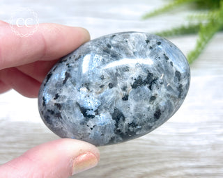 Larvikite Palm Chunky Stone #3