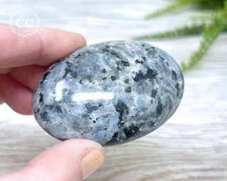 Larvikite Palm Chunky Stone #3