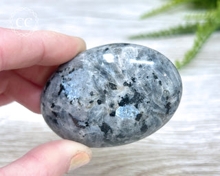 Larvikite Palm Chunky Stone #3