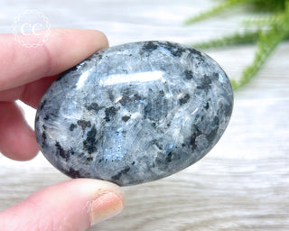 Larvikite Palm Chunky Stone #3