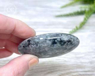 Larvikite Palm Chunky Stone #3