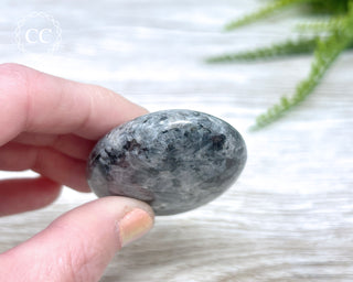Larvikite Palm Chunky Stone #3