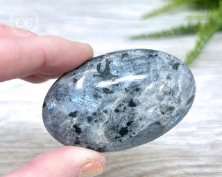 Larvikite Palm Chunky Stone #6