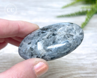 Larvikite Palm Chunky Stone #6