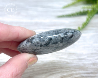 Larvikite Palm Chunky Stone #6