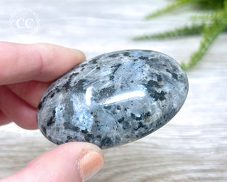 Larvikite Palm Chunky Stone #6