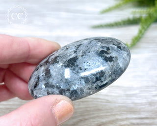 Larvikite Palm Chunky Stone #6