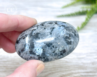 Larvikite Palm Chunky Stone #6