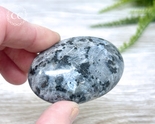 Larvikite Palm Chunky Stone #6