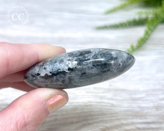 Larvikite Palm Chunky Stone #6