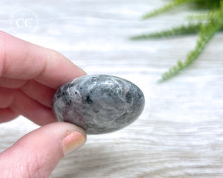 Larvikite Palm Chunky Stone #6